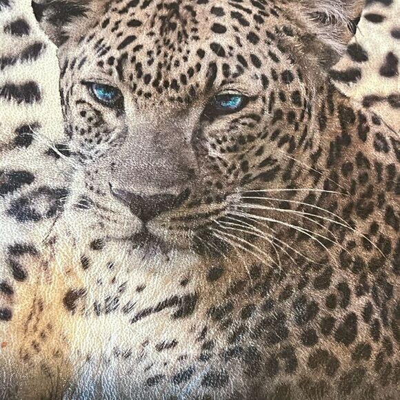 Rare 🔥 ICON Los Angeles‎ Snow Leopard designer leather crossbody bag, NWOT. - Picture 2 of 14